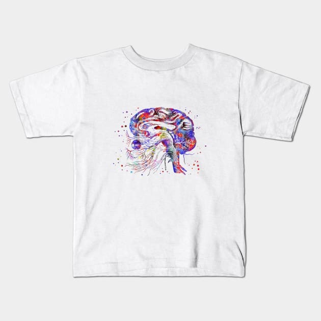 Brain cranial nerves Kids T-Shirt by RosaliArt